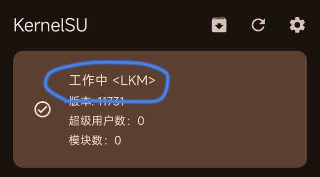 管理器主页显示工作中 LKM 状态与版本号
